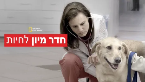 thumbnail - חדר מיון לחיות