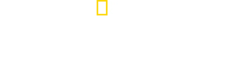 האוצרות האבודים של מצרים