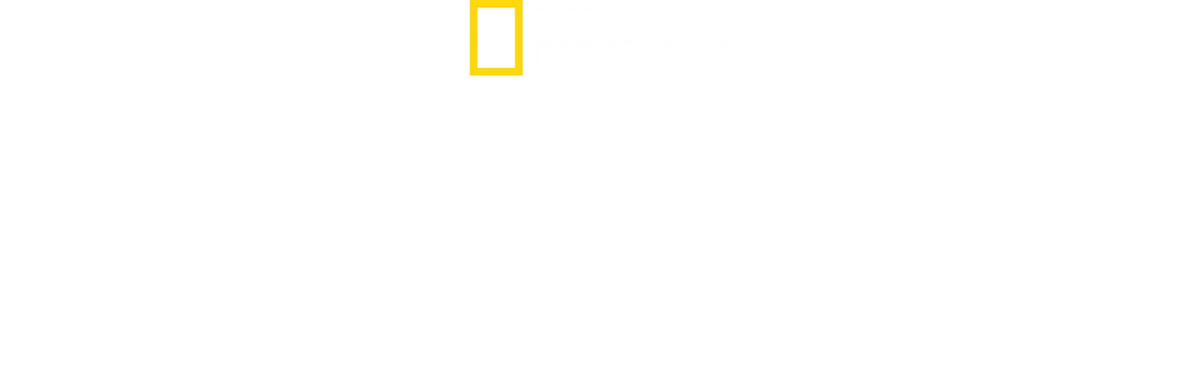 האוצרות האבודים של מצרים