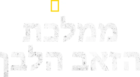 ממלכת הזאב הלבן