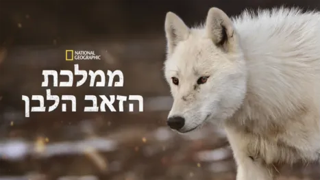 thumbnail - ממלכת הזאב הלבן