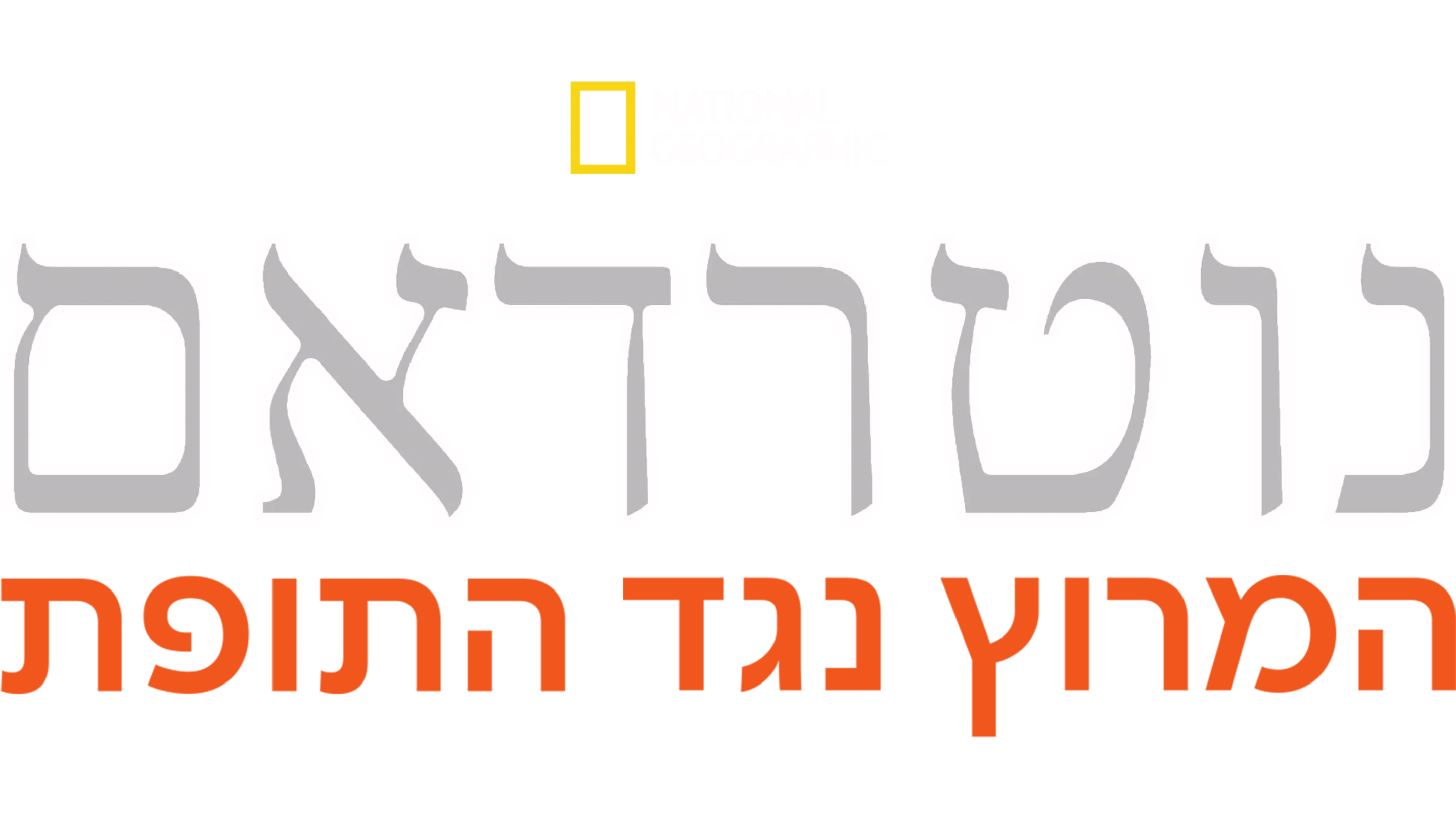 נוטרדאם: המרוץ נגד התופת