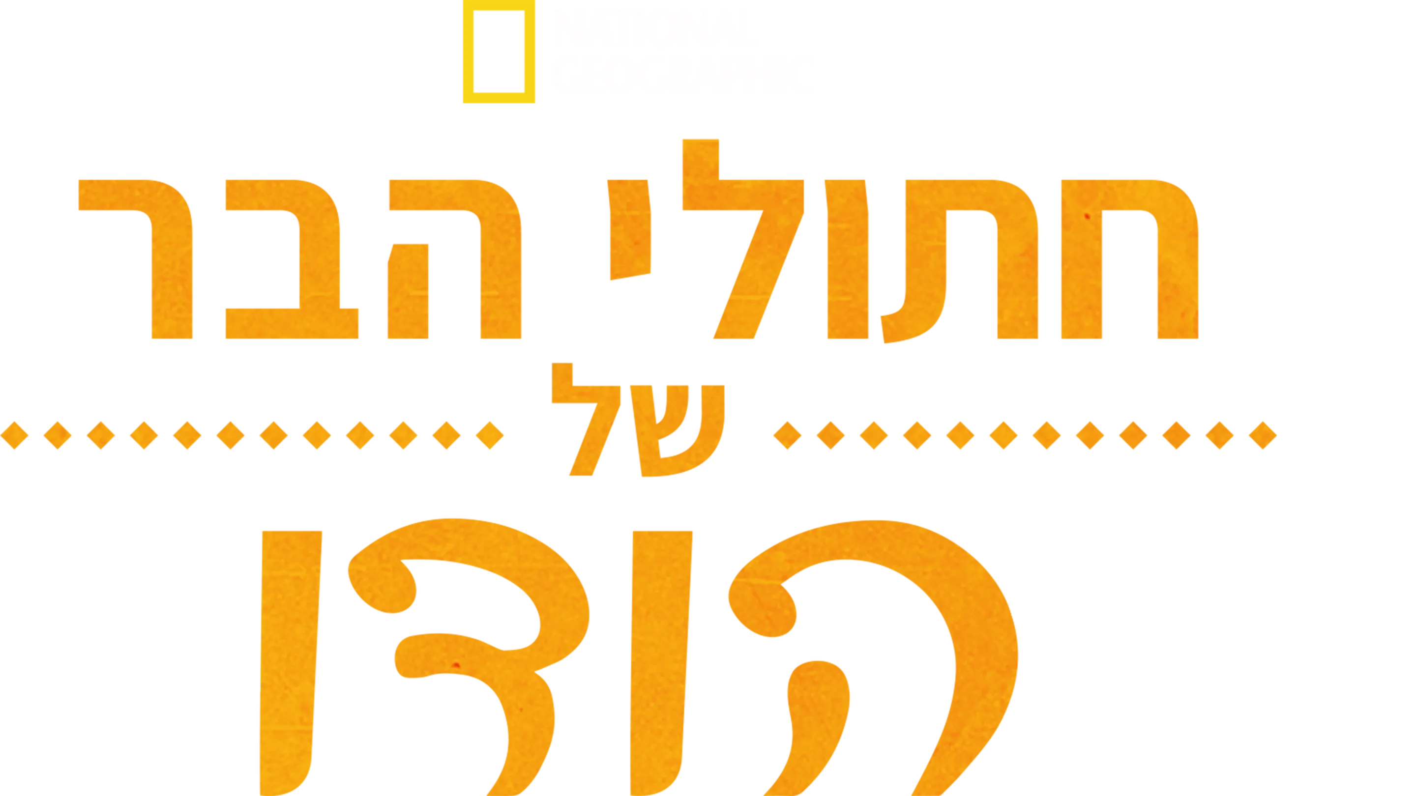 חתולי הבר של הודו
