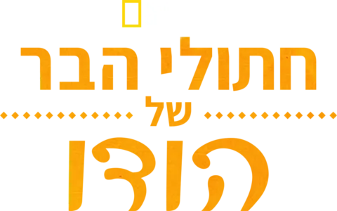 חתולי הבר של הודו