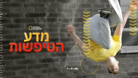 thumbnail - מדע הטיפשות