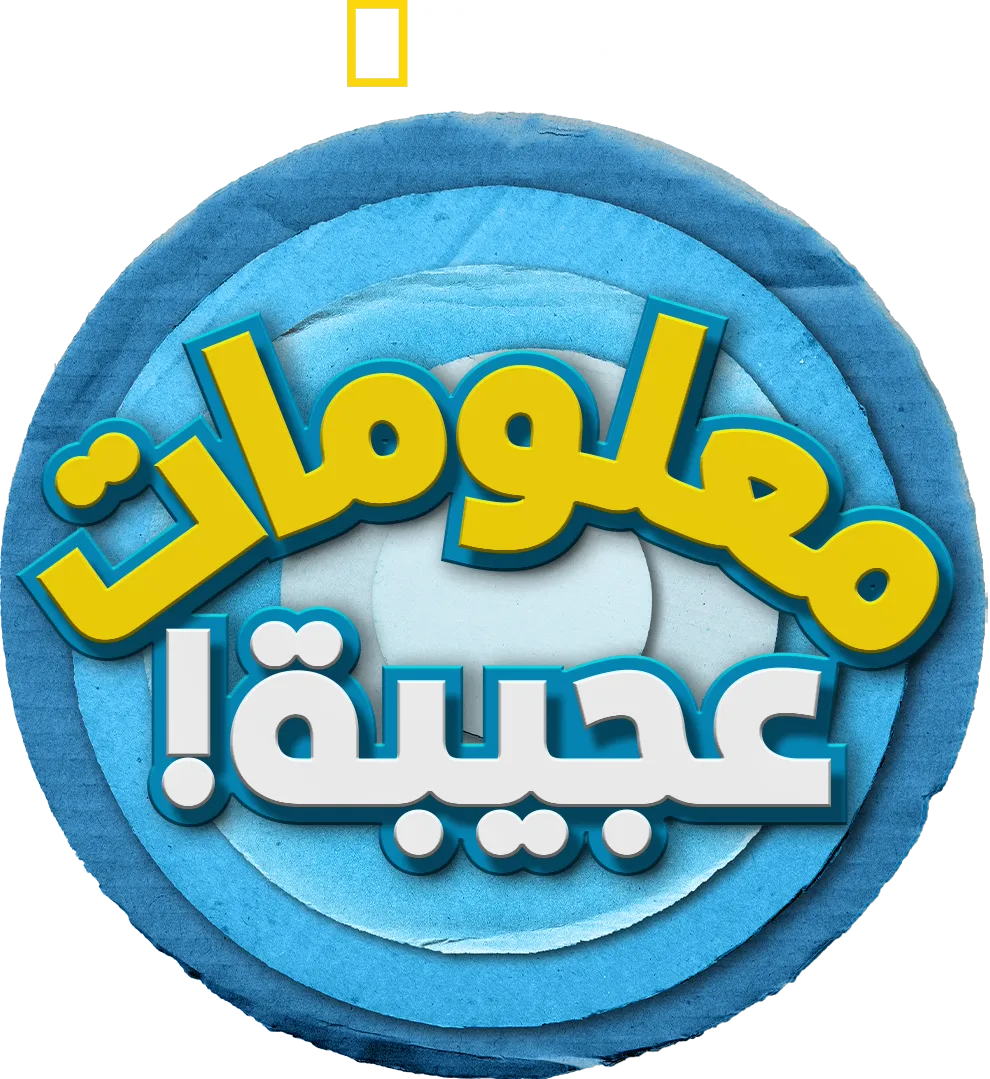 معلومات عجيبة!