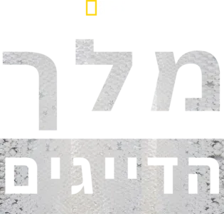 מלך הדייגים