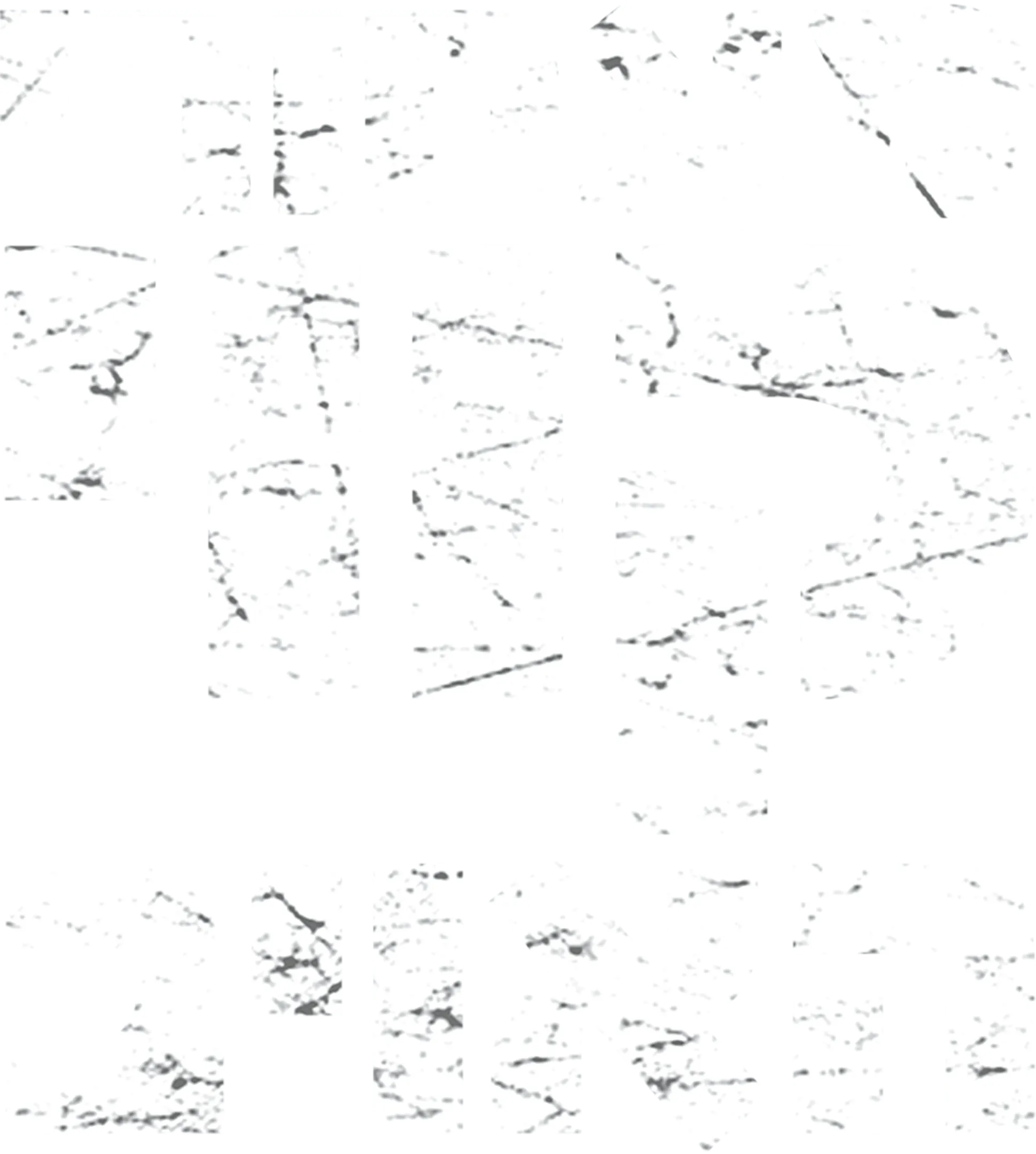 מאחורי קווי האויב