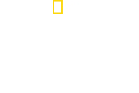 מבט על - אירופה