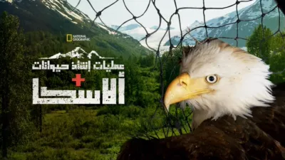 thumbnail - إنقاذ الحيوانات في ألاسكا