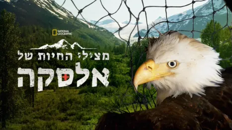 thumbnail - מצילי החיות של אלסקה