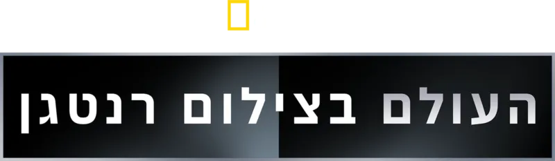 העולם בצילום רנטגן