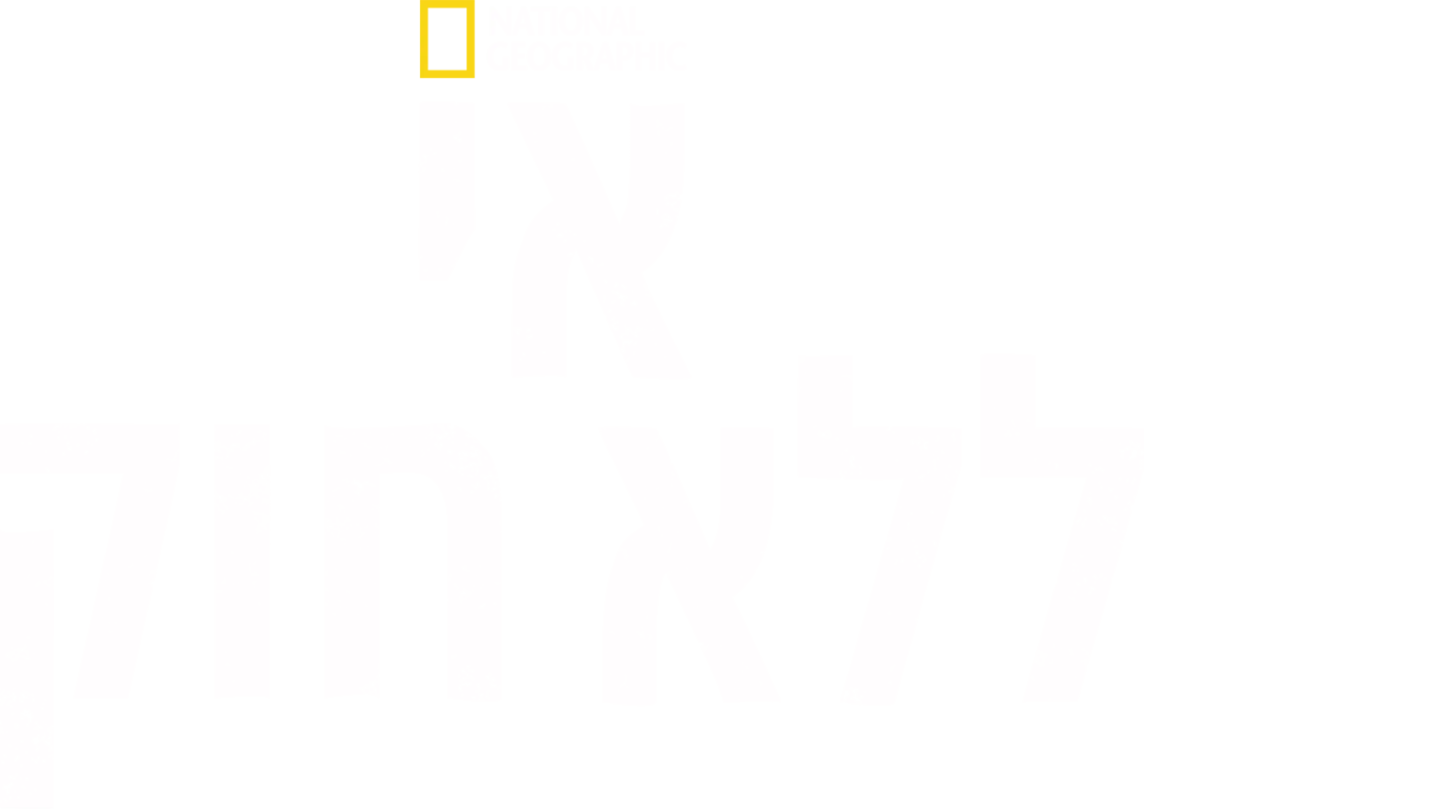 אי ללא חוק