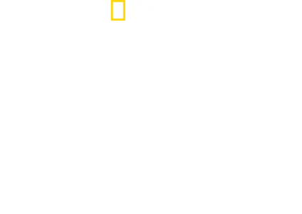 אי ללא חוק