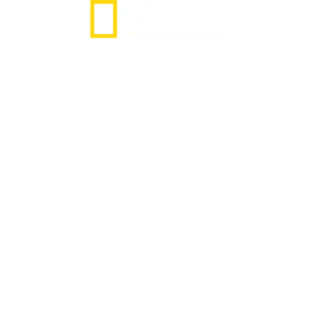 מבט על - סין העתיקה