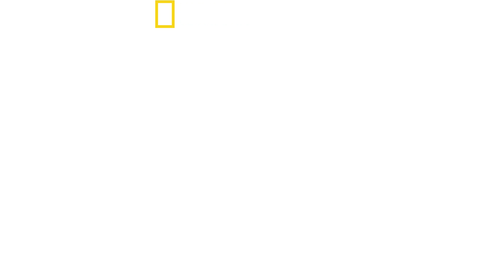 הקסם של Disney’s Animal Kingdom