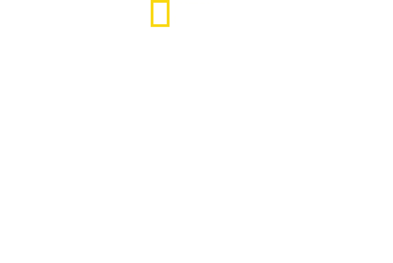 הקסם של Disney’s Animal Kingdom