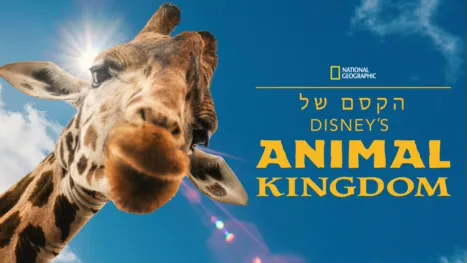 thumbnail - הקסם של Disney’s Animal Kingdom