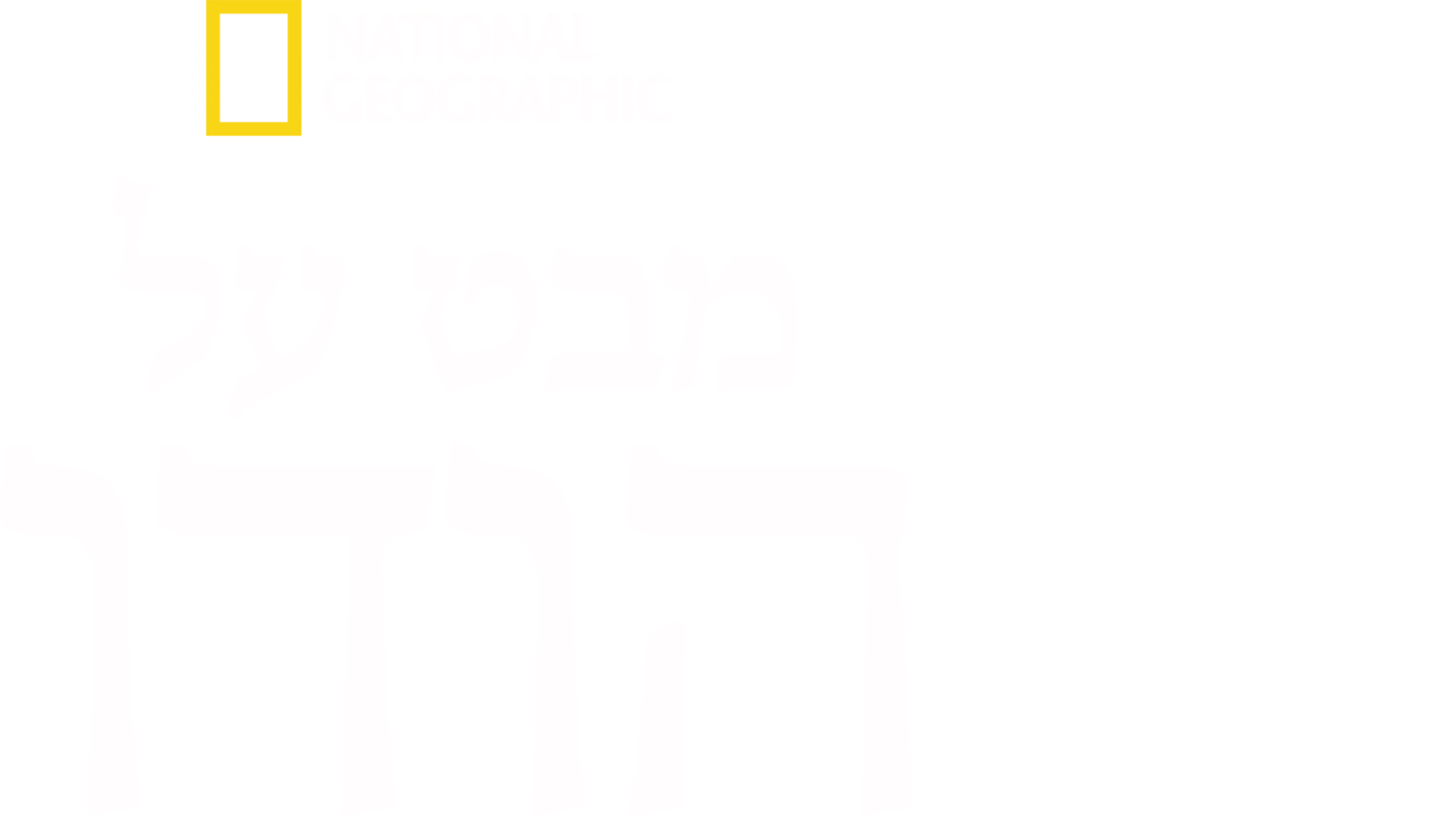מבט על:הודו