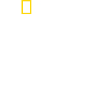 מבט על:הודו