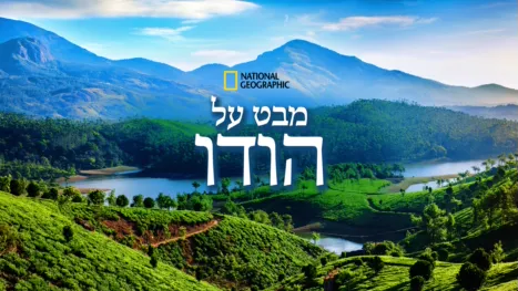 thumbnail - מבט על:הודו