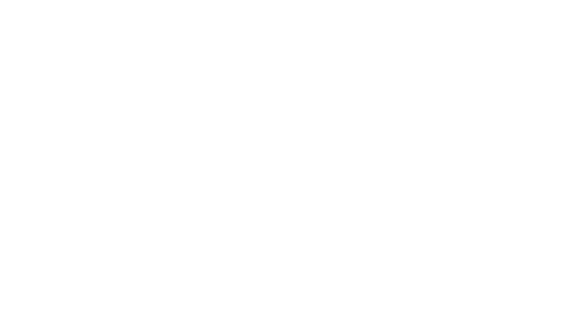 פיקסאר – מבט מבפנים