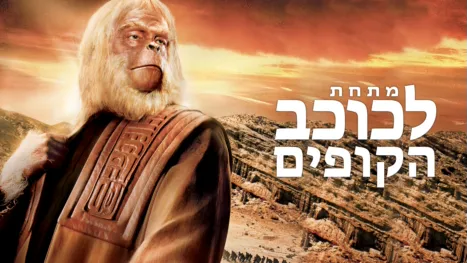 thumbnail - מתחת לכוכב הקופים