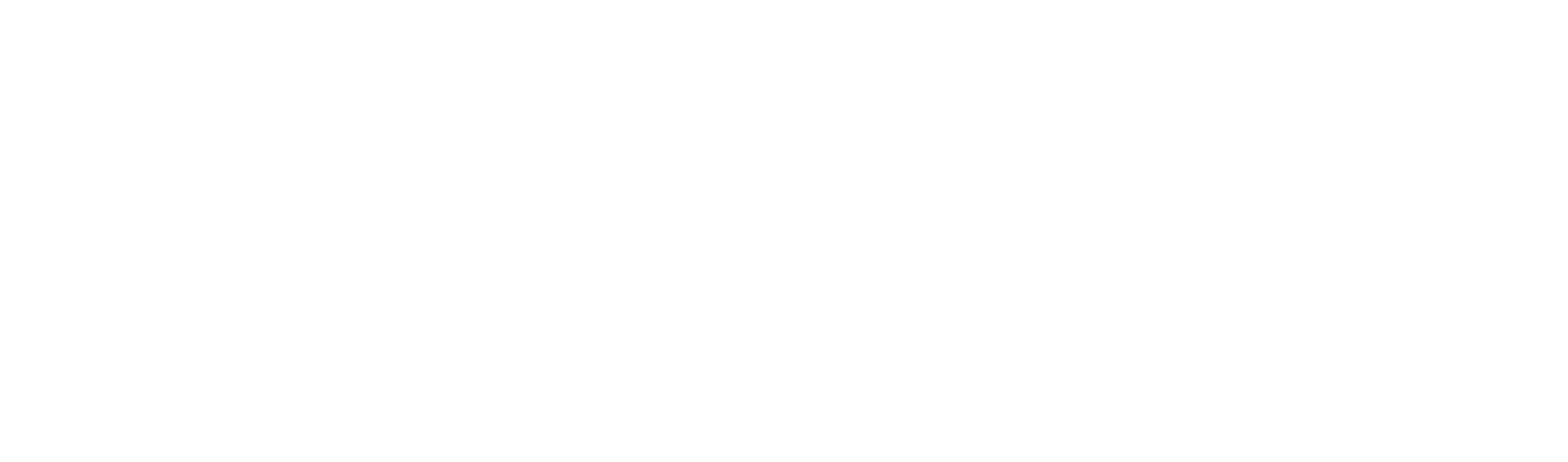 ספיד