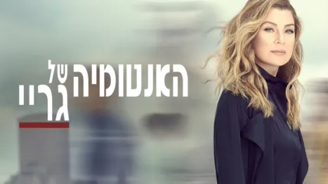 thumbnail - האנטומיה של גריי