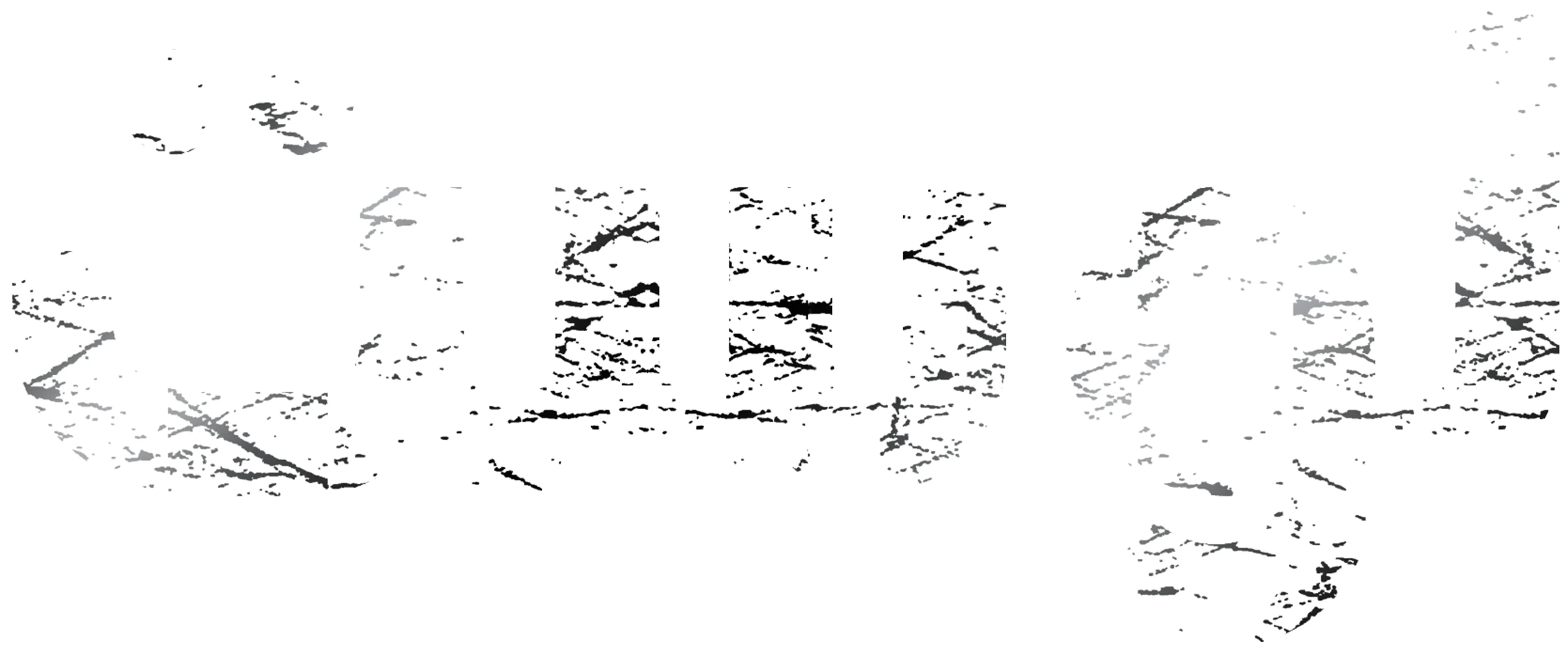 لوست