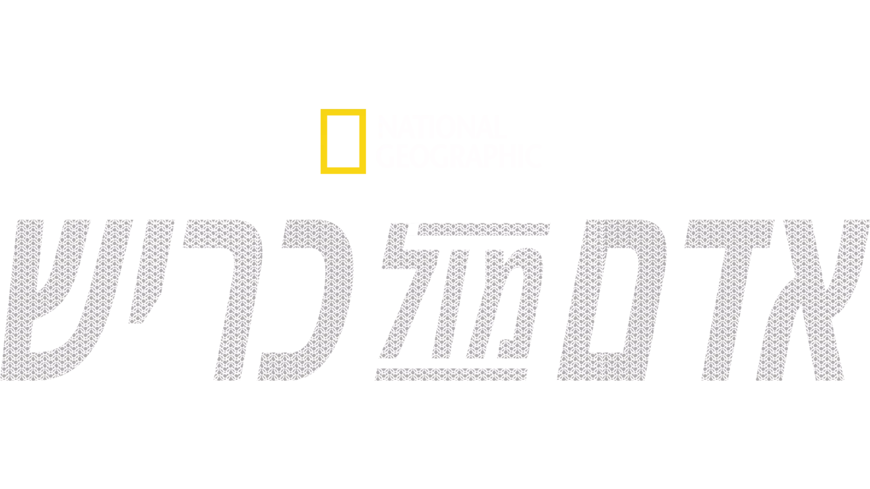אדם מול כריש