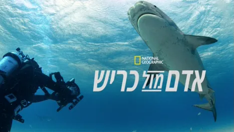 thumbnail - אדם מול כריש