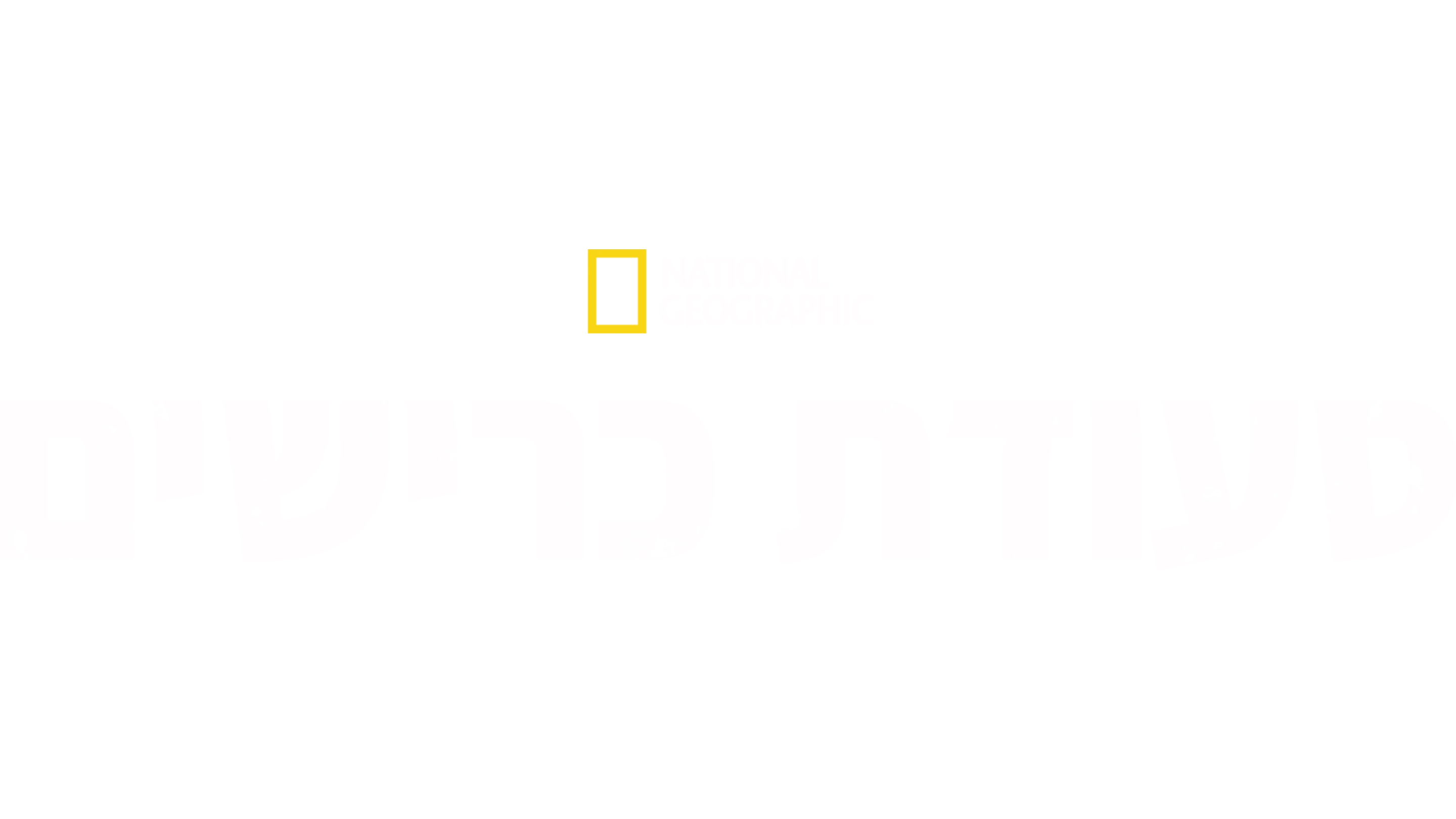 סעודת כרישים