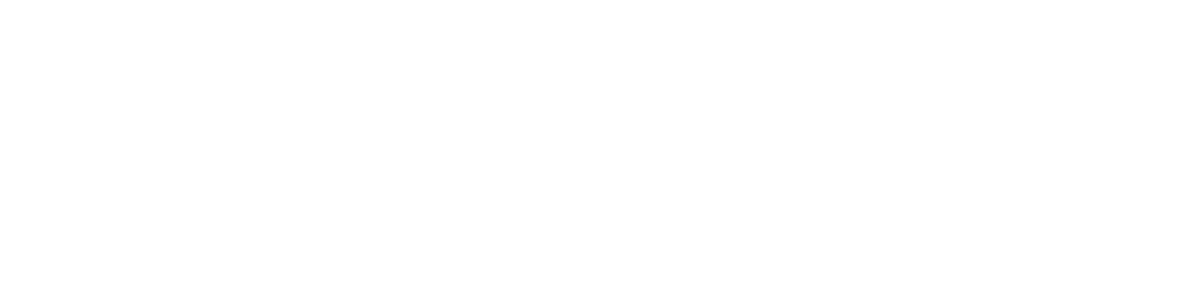 הומלנד