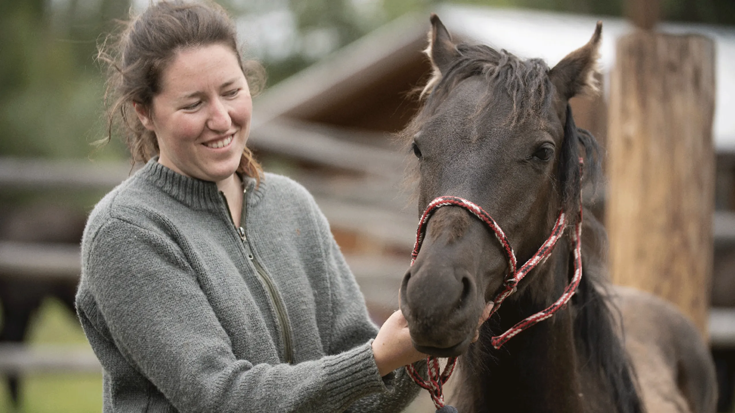 thumbnail - S8:E4 A Hoarse Horse