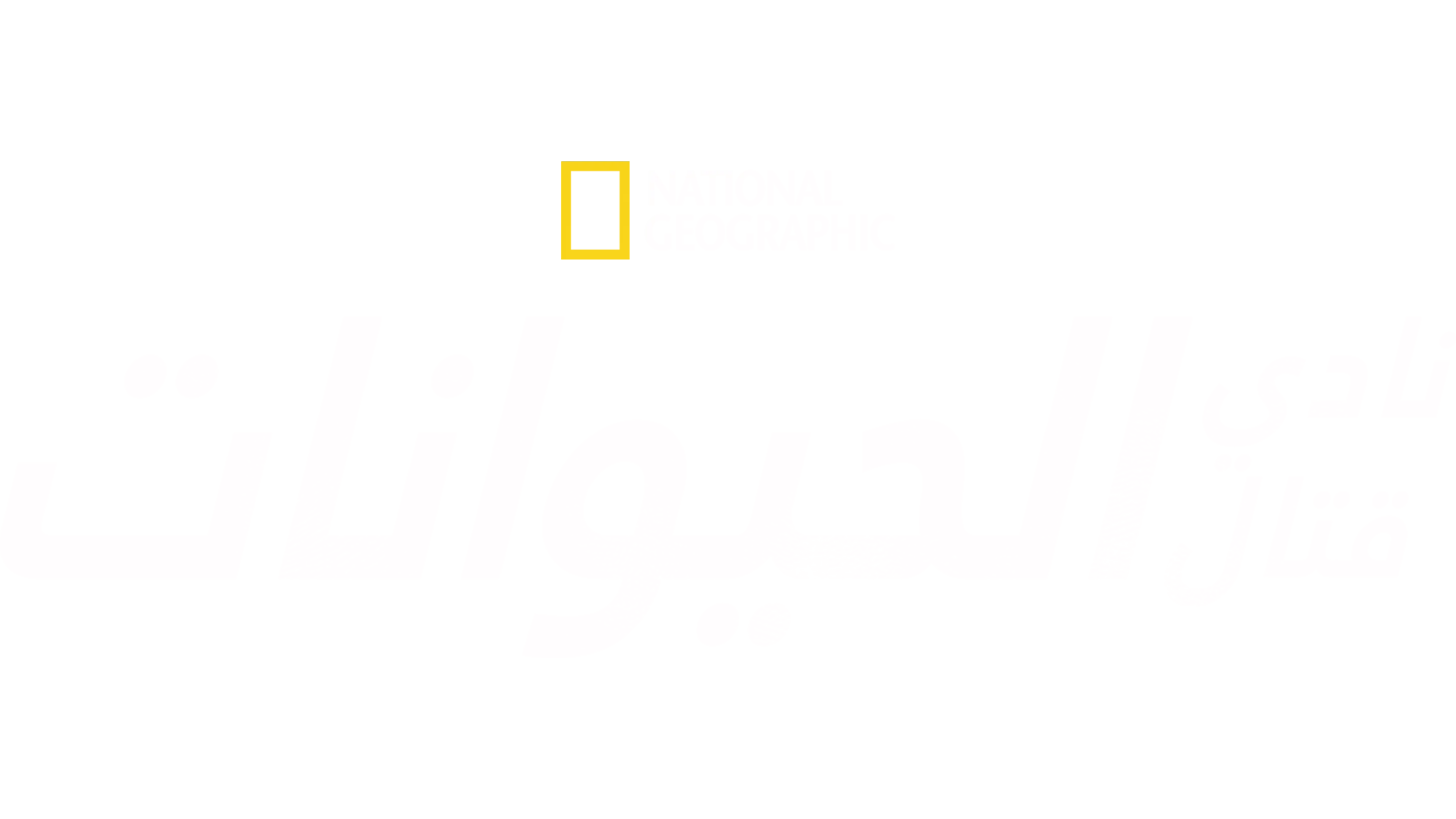 "نادي قتال الحيوانات"