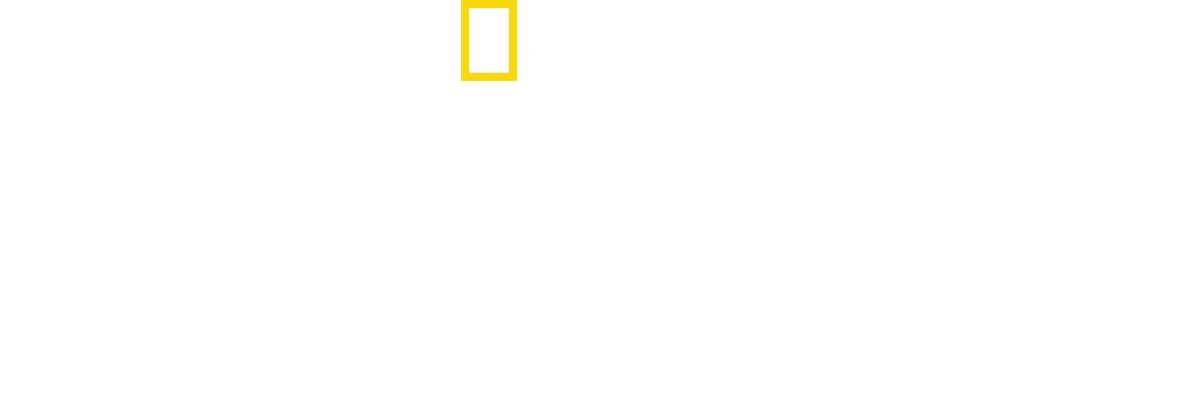 "نادي قتال الحيوانات"