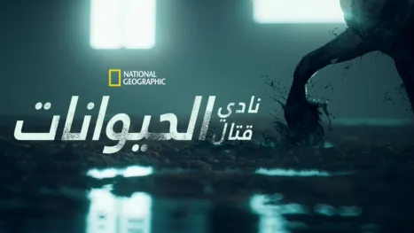 thumbnail - "نادي قتال الحيوانات"