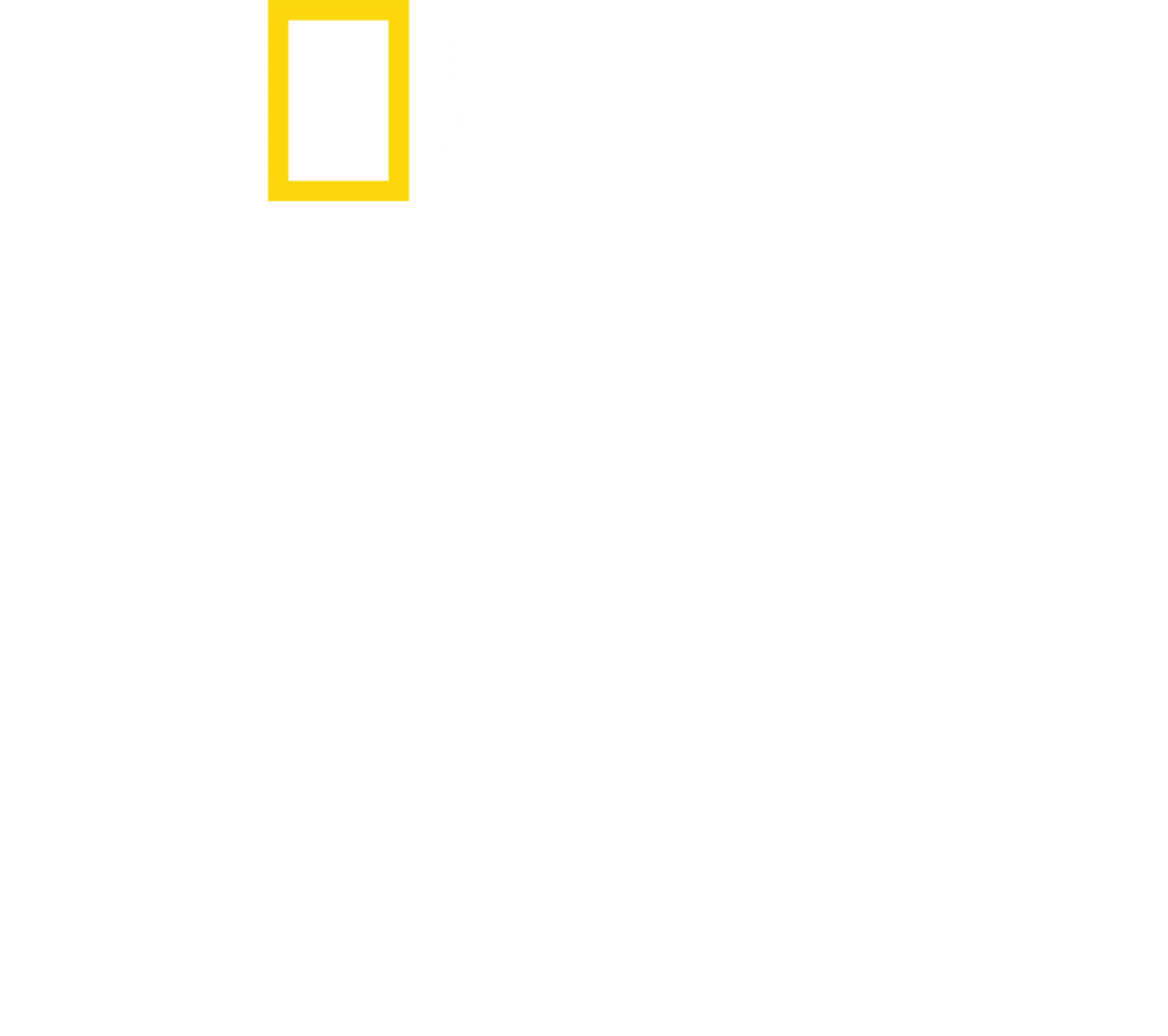 שושלת קים