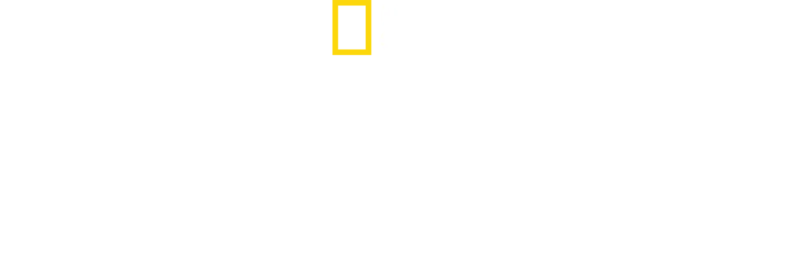 שארקאטרז