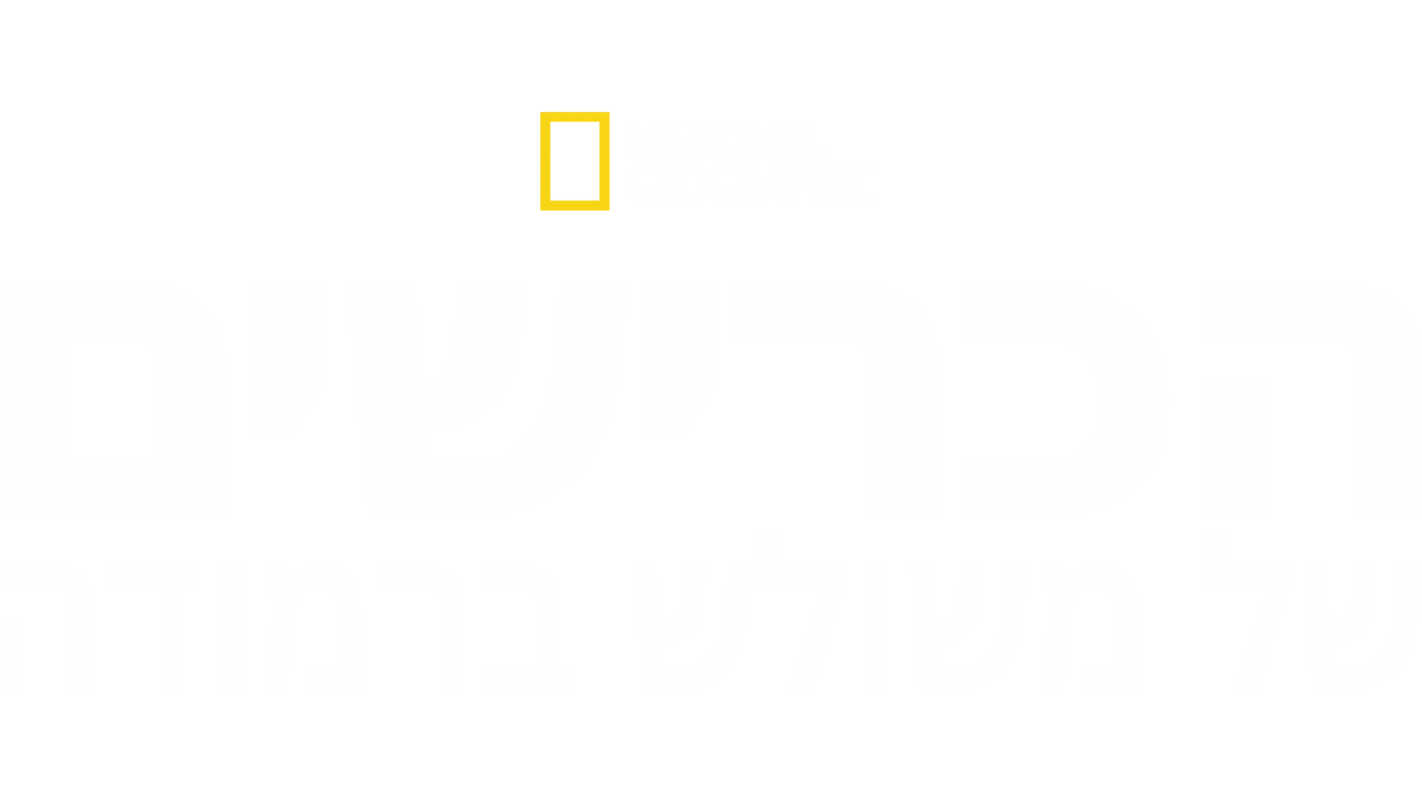 הכרישים של משולש ברמודה