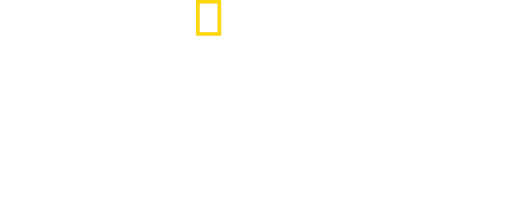 הכרישים של משולש ברמודה