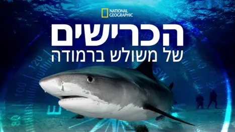 thumbnail - הכרישים של משולש ברמודה