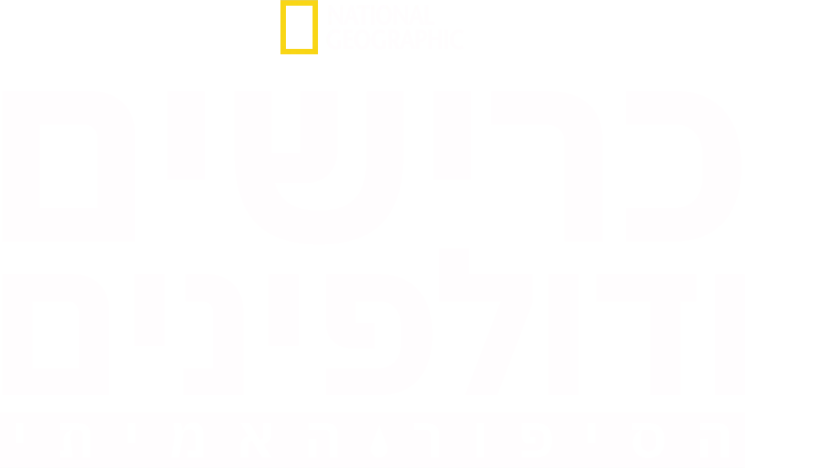 כרישים ודולפינים: הסיפור האמיתי