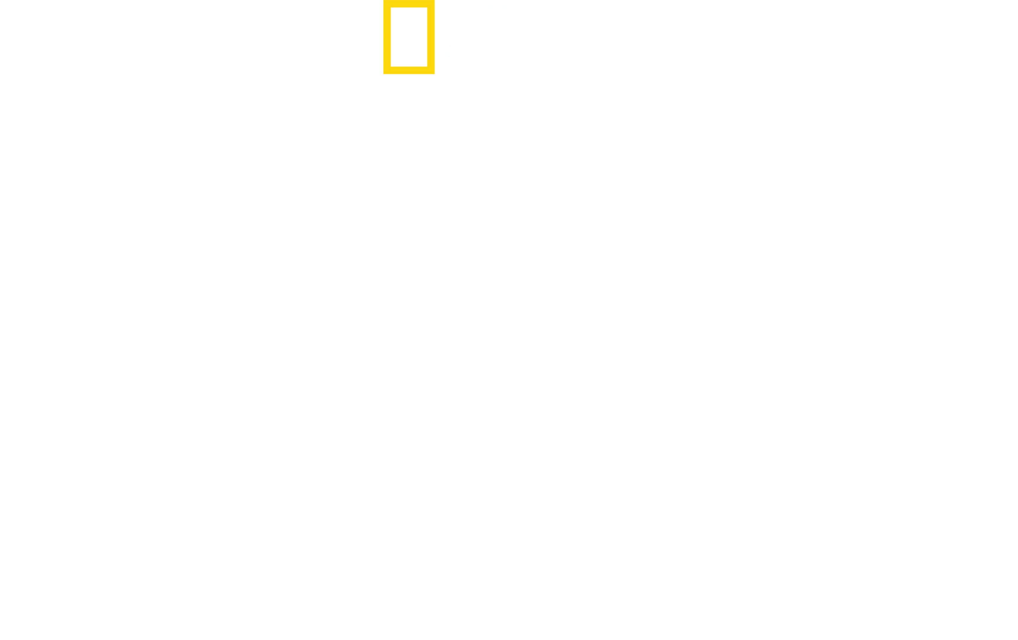 כרישים ודולפינים: הסיפור האמיתי