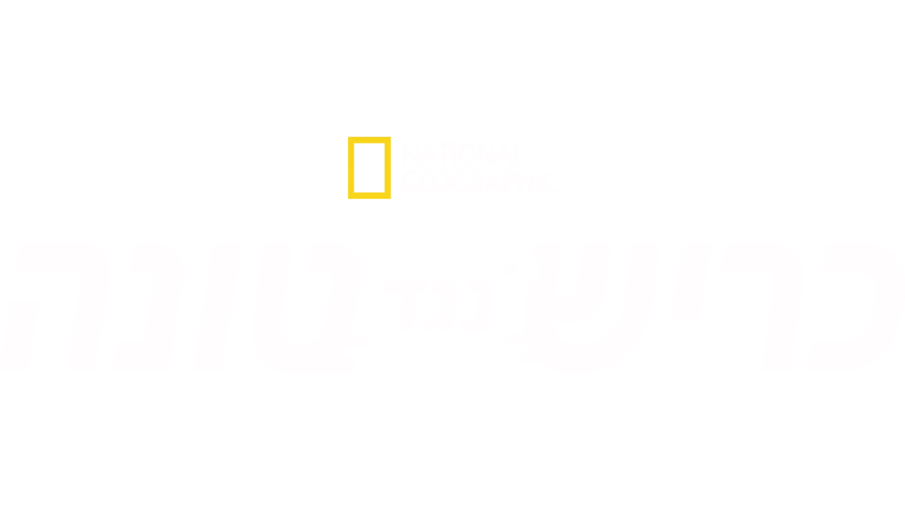 כריש נגד טונה