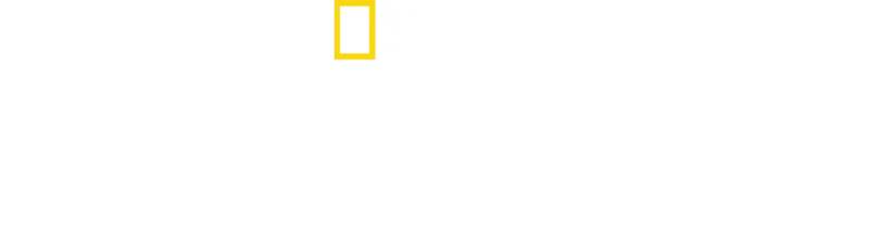כריש נגד טונה
