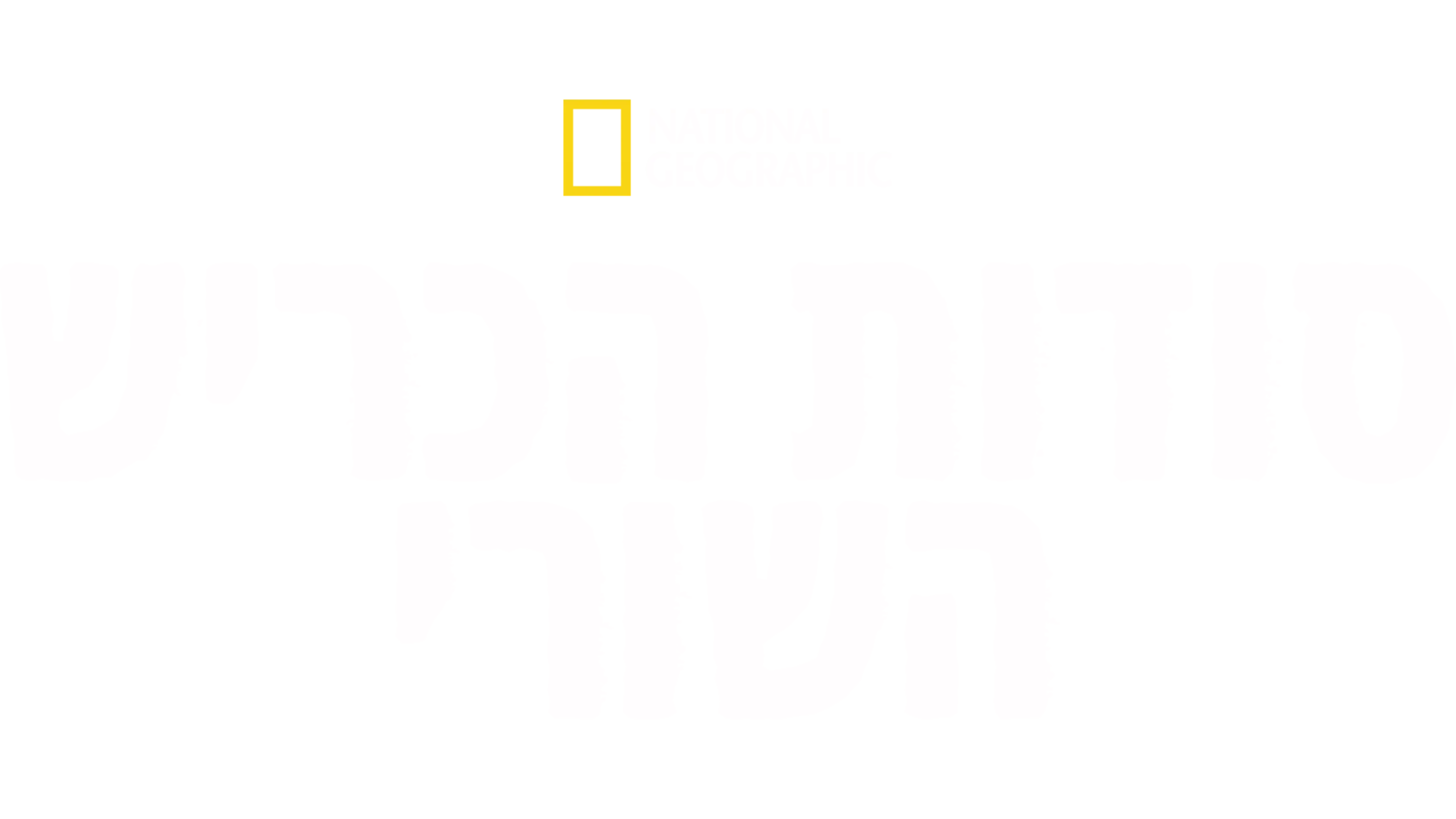 סודות הכריש השורי