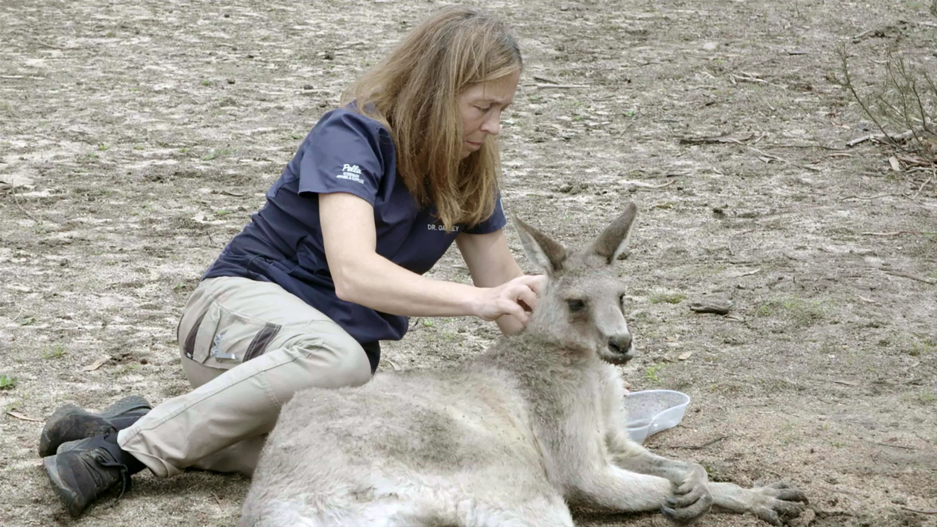 thumbnail - S8:E9 Rescuers Down Under