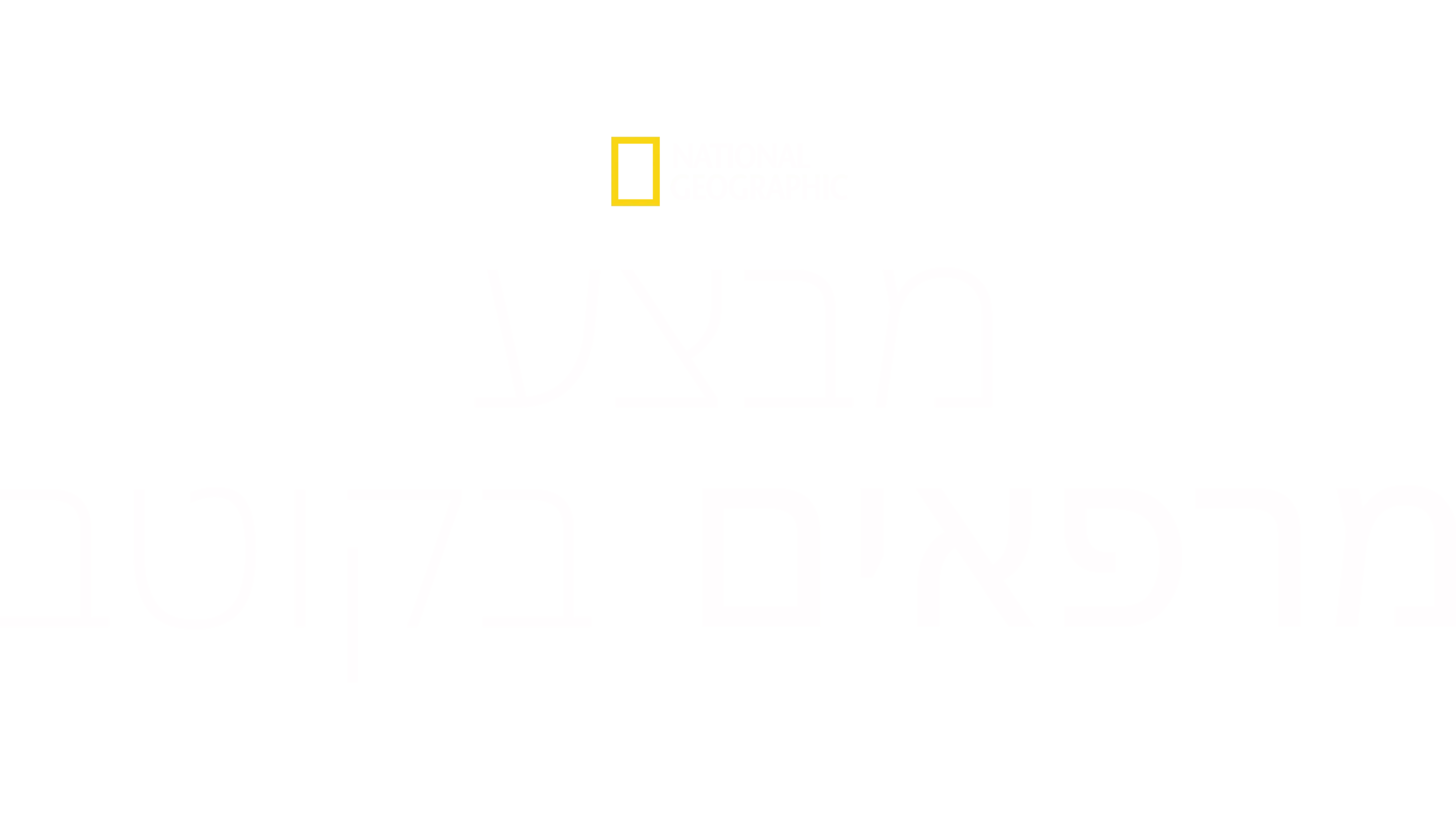 מבצע מרפאים בקוטב